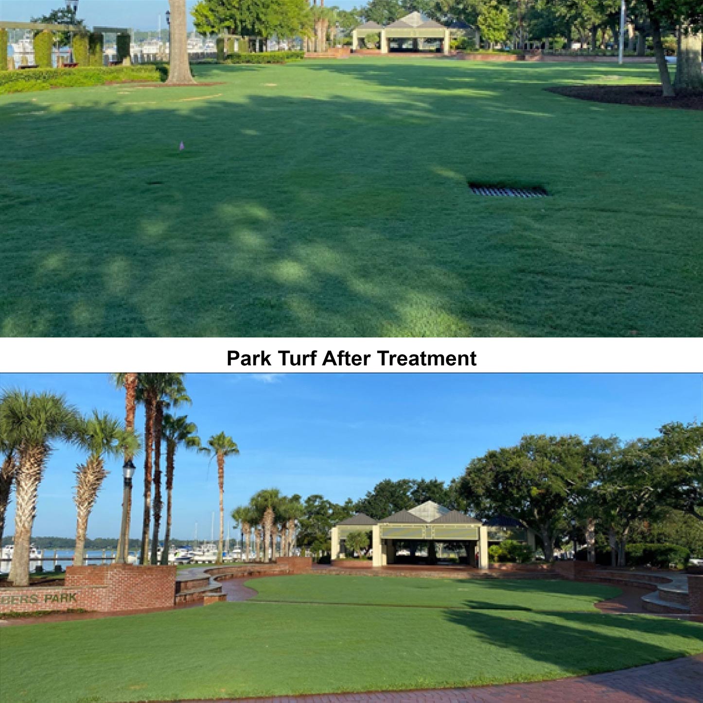 Park Turf Bounces Back Beautifully with the Help of The Greenery Commercial Landscaping